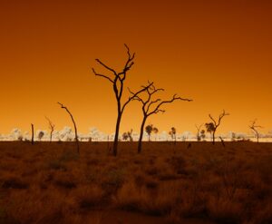 Grow in Drought